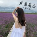 aLIEz (热血版)封面