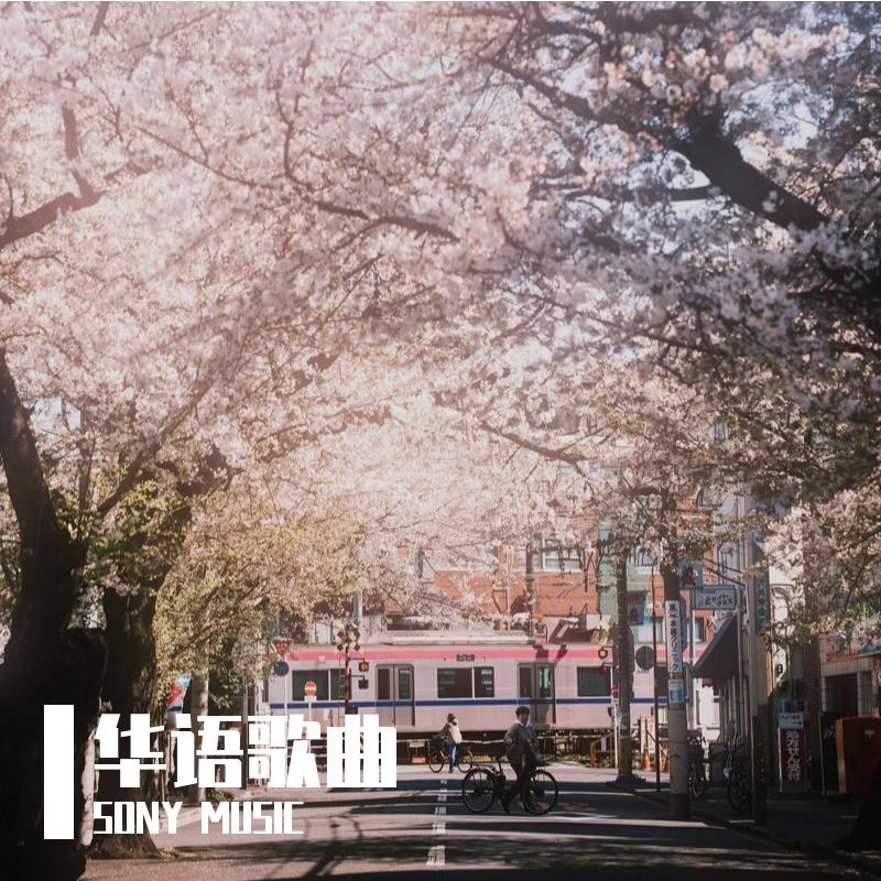 超级冠军封面
