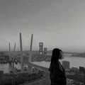 雅俗共赏 (DJ版)封面