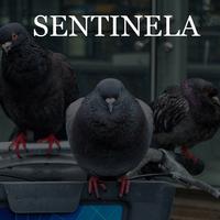 Sentinela