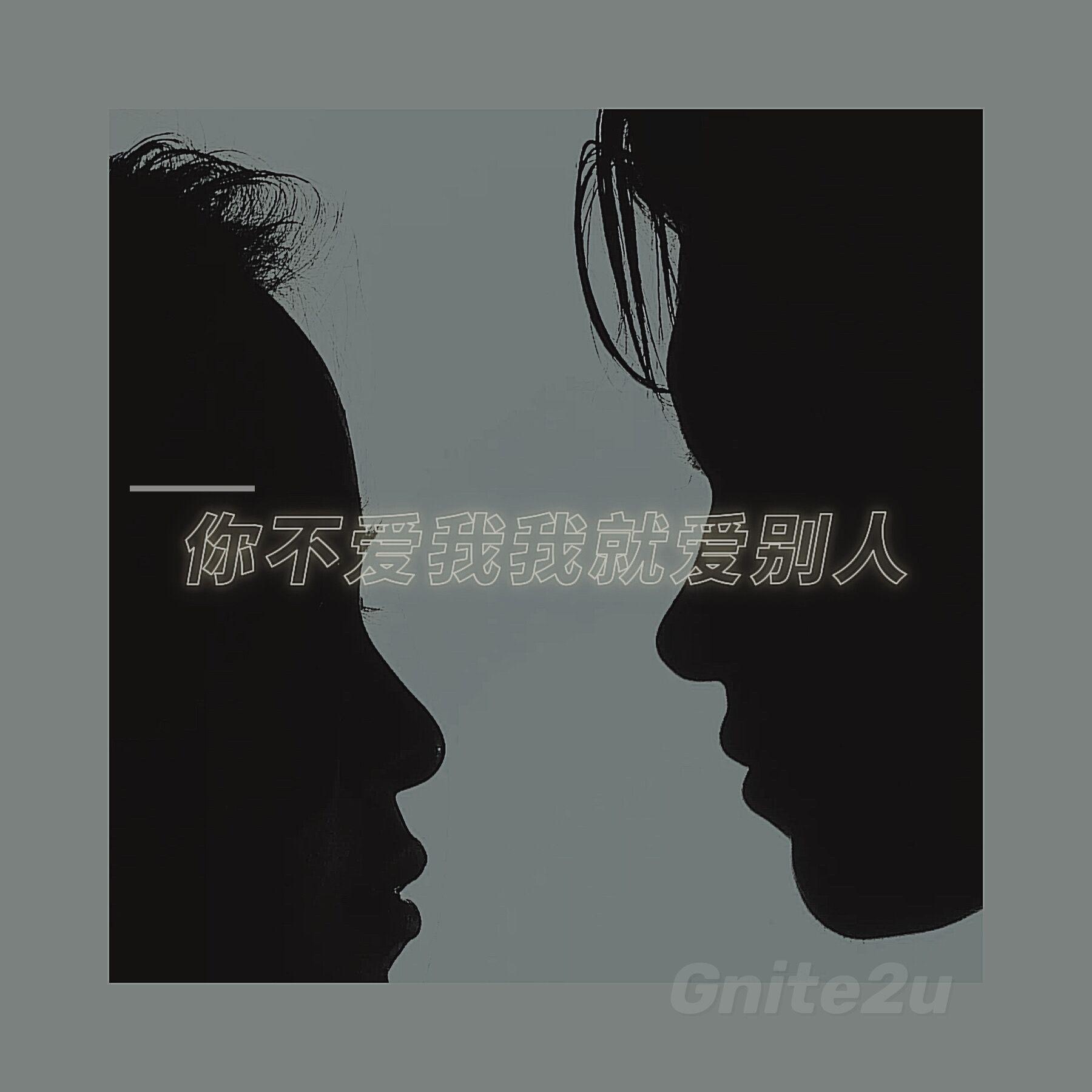 U Don't Luv Me,I Won't Luv U(你不爱我我就爱别人)（翻自 peace hotel）封面