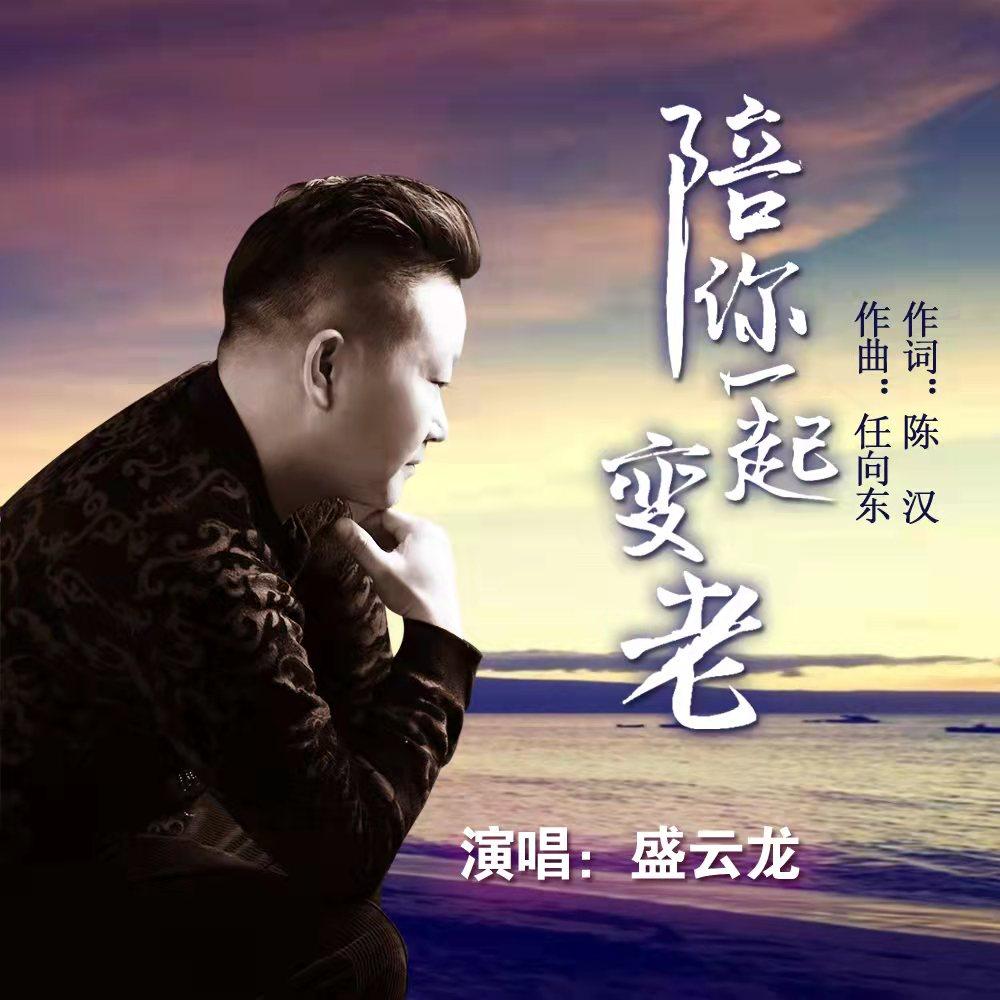 陪你一起变老封面