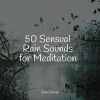 Sounds of Nature Relaxation - Ocean, Water Lapping, Beach