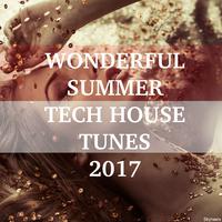 Wonderful Summer Tech House Tunes 2017