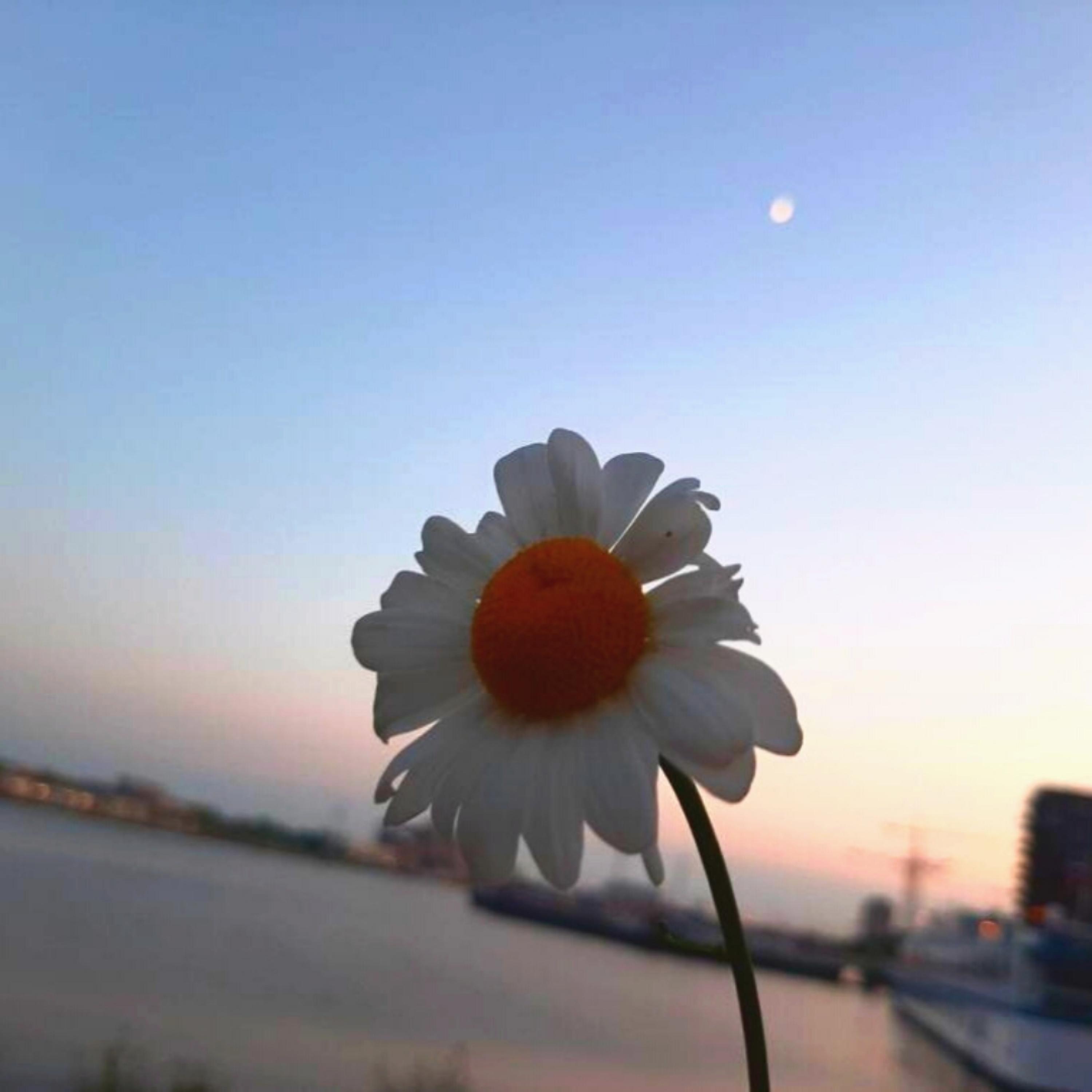 OceanSide (feat. Julice)