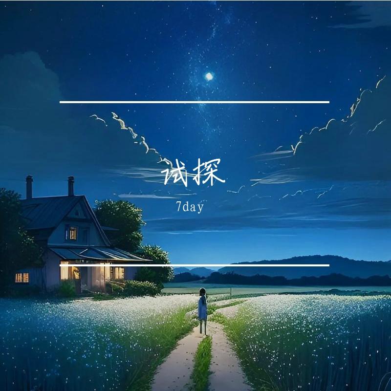 试探你的温柔封面