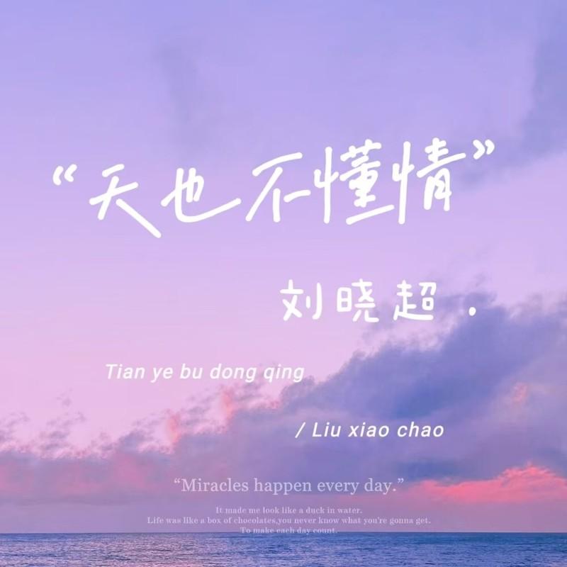 天也不懂情 (咽嗓版)封面