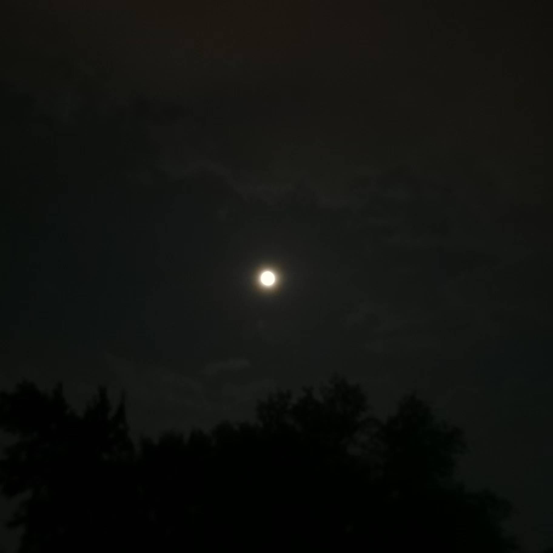 给我一个理由忘记