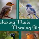 Calm Singing Birds Zone