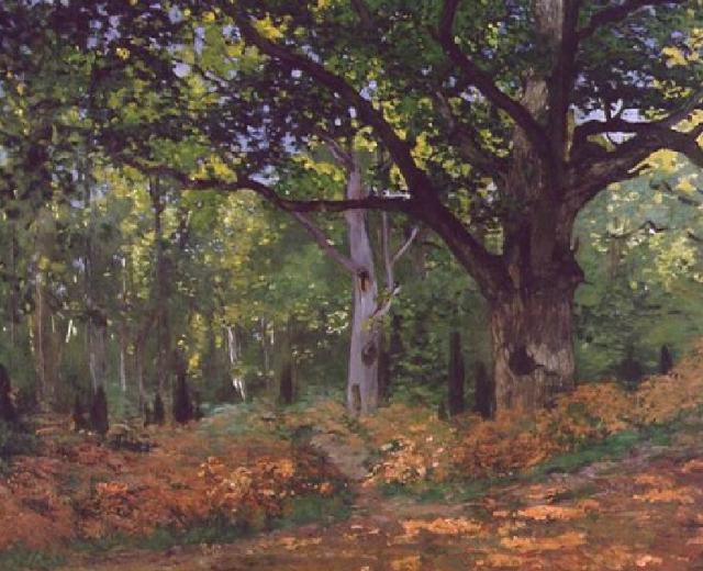 Oak