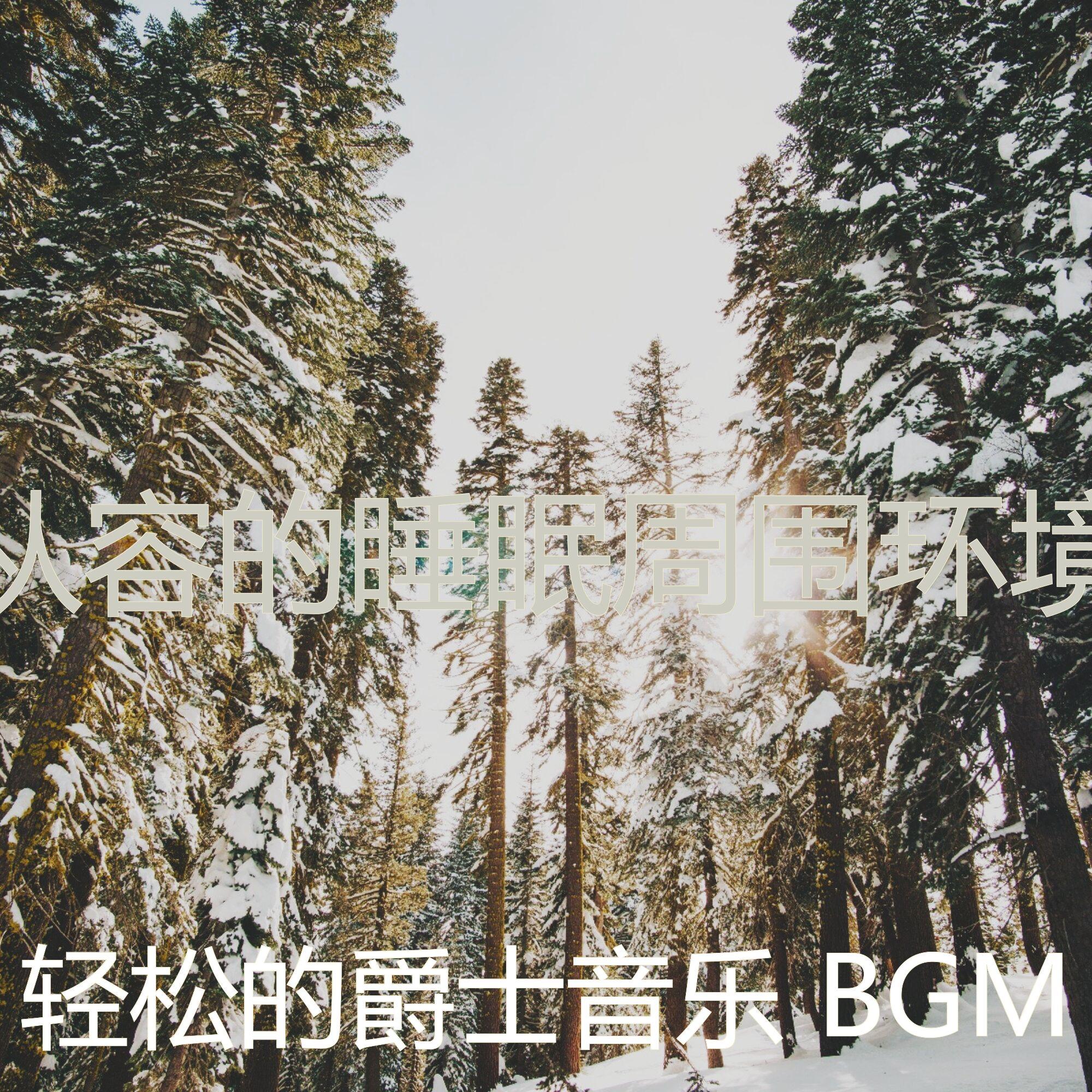 诗意的放松的节奏封面