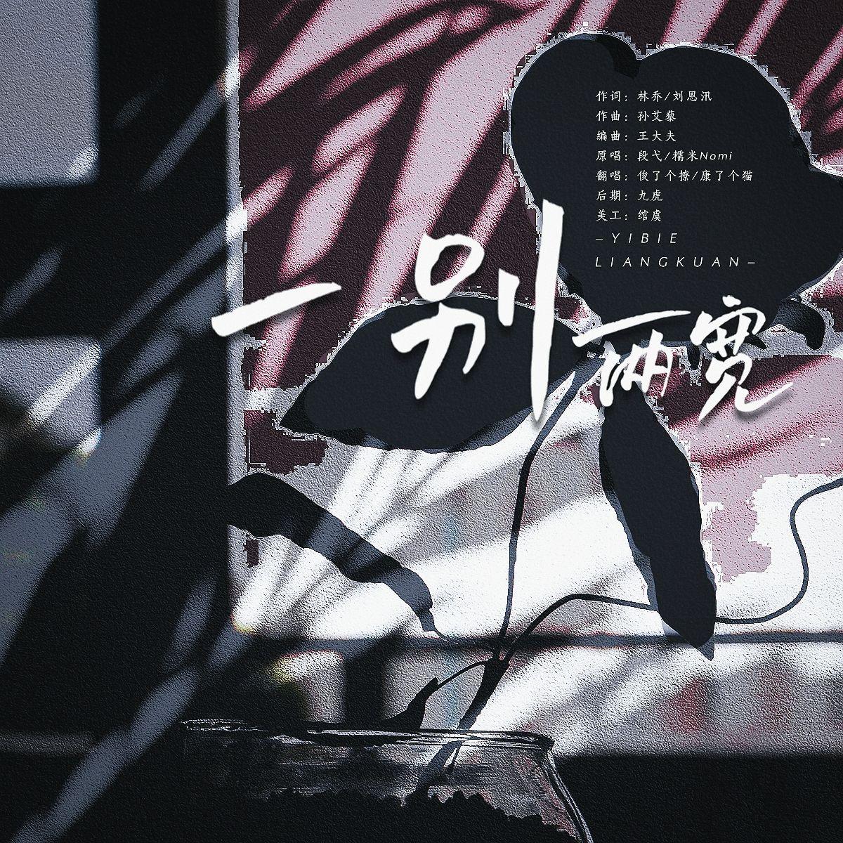 一别两宽封面