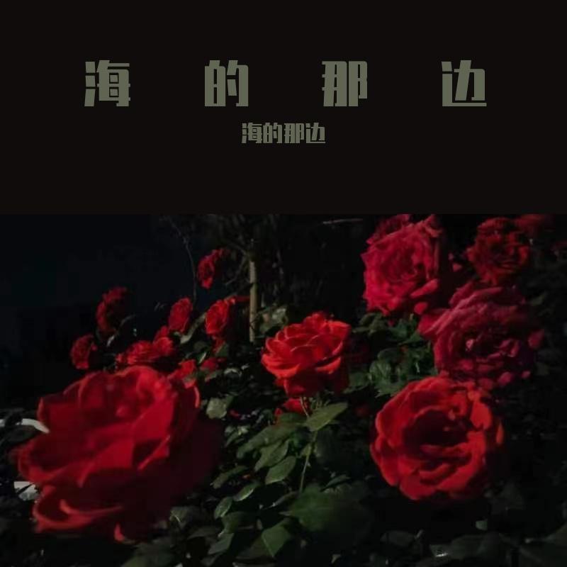 踏山河 - 别越界封面