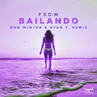 Bailando (Dan Winter & Ryan T. Remix)