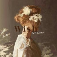 Wish (feat. Twk Tushar)