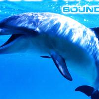 Dolphins Sounds