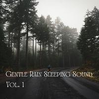 Gentle Rain Sleeping Sound Vol. 1 - 3 Hour