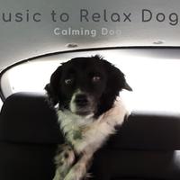 Music-to-Relax-Dogs