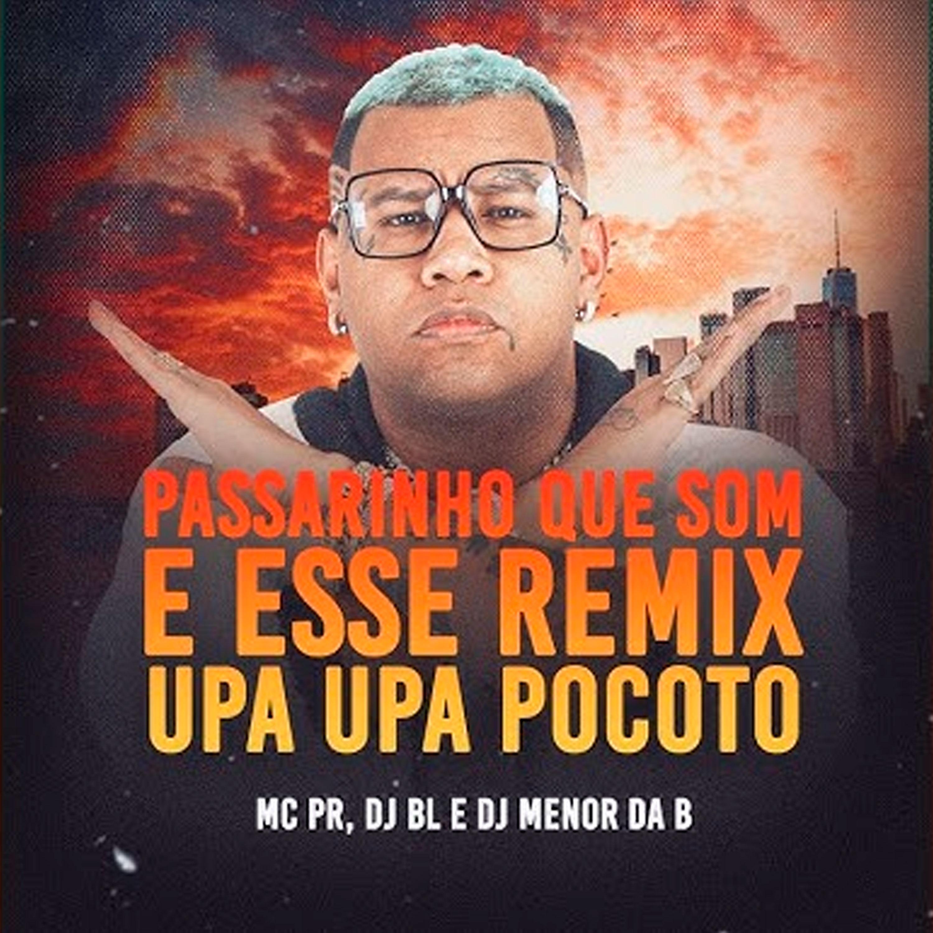 Passarinho Que Som É Esse? (Remix Upa Upa Pocotó)