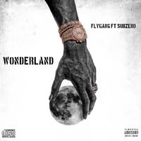 Wonderland (feat. Subzero)