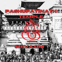 Pashupatinath Temple Shiva Om