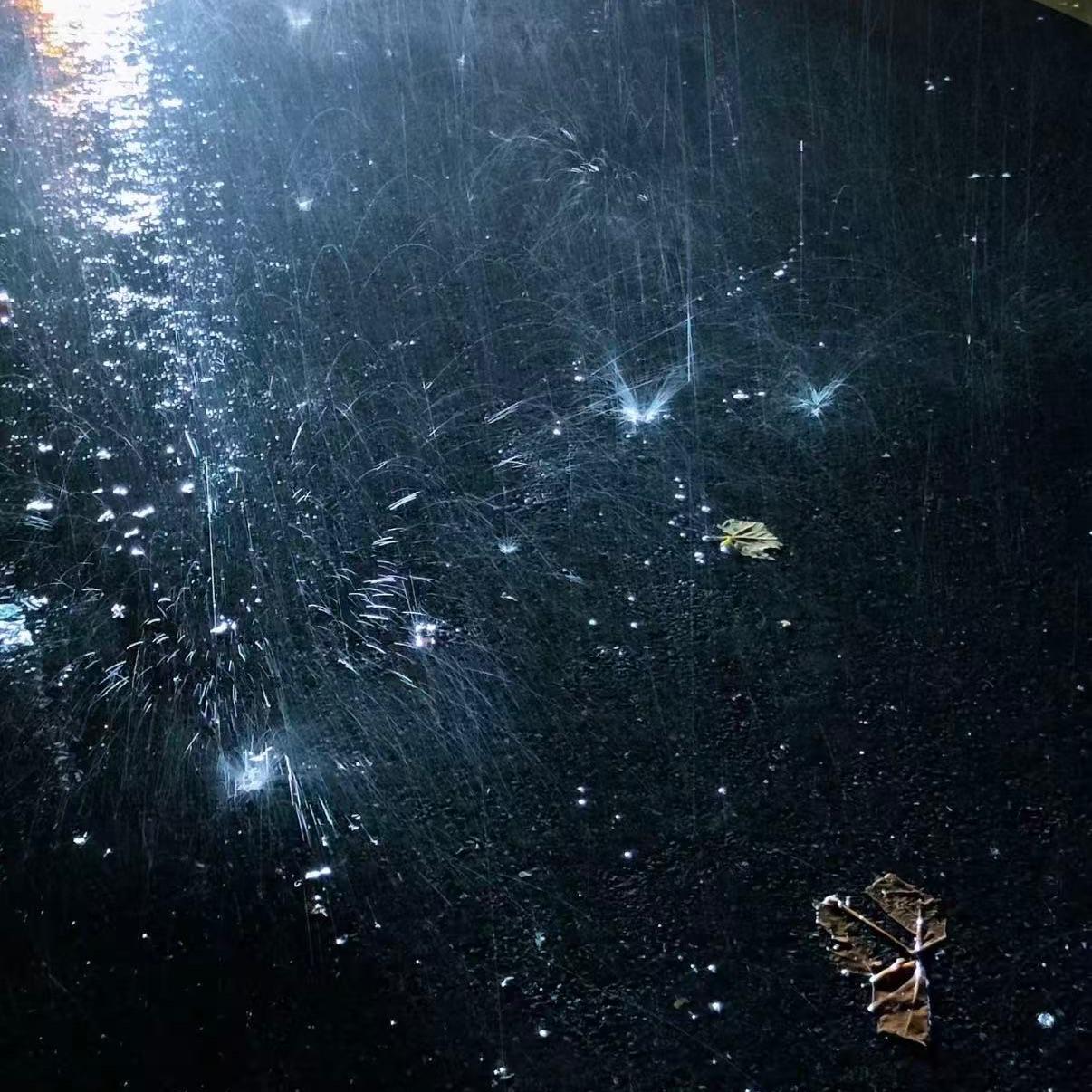 雨蝶(微醺版男)封面