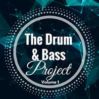 The Drum and Bass Project - Volume 1