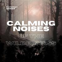 Calming Noises of the Wilderness