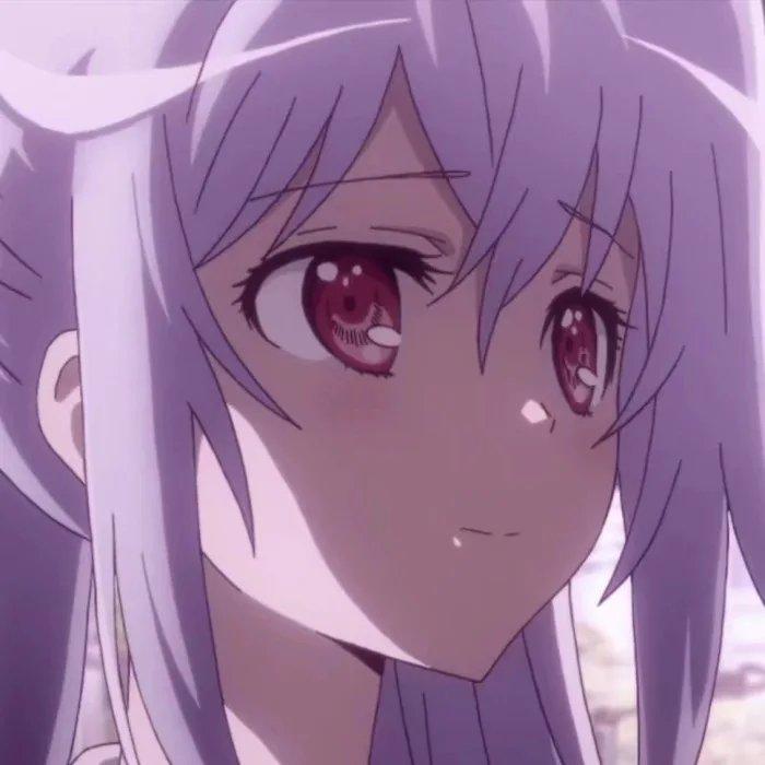 红太狼狂想曲封面