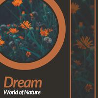 Dream World Of Nature