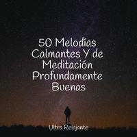 Escola de Meditação - Pensamientos Pacíficos