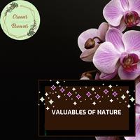 Valuables of Nature