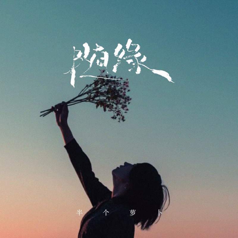 随缘 (女版伴奏)封面