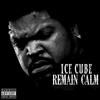 Ice Cube - Rebel Music (Remix) [feat. MC Ren]