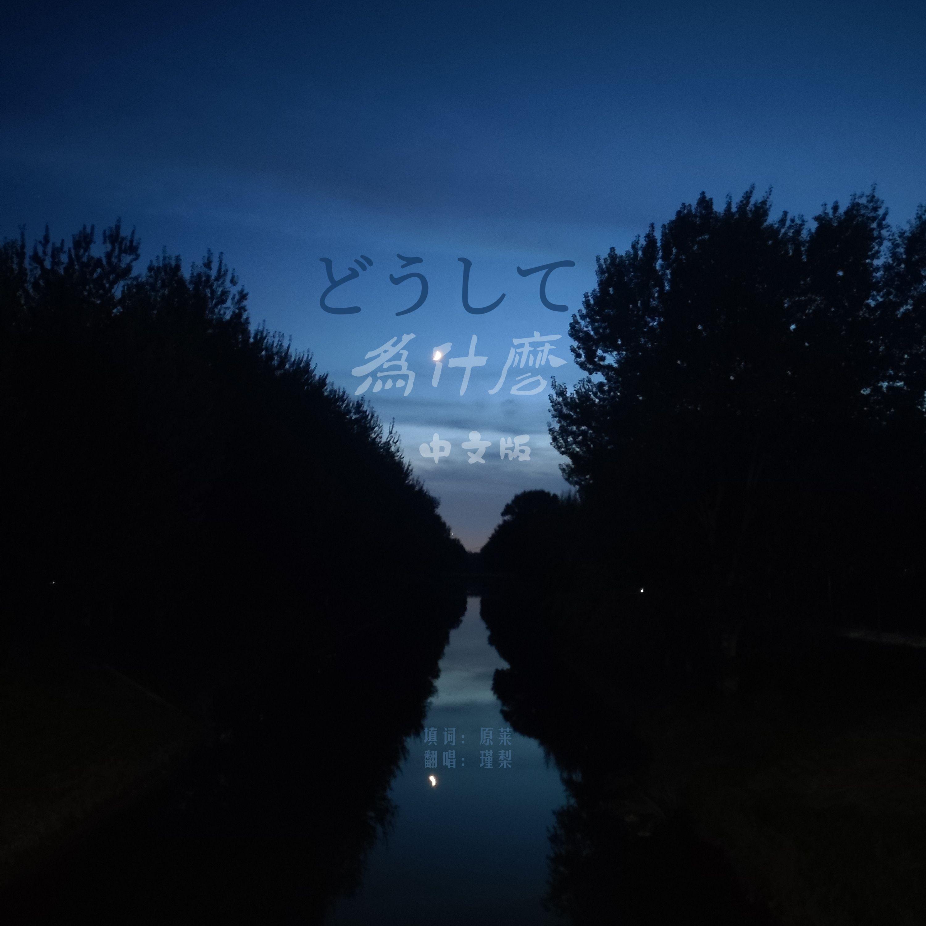 どうして 为什么（中文版）(高瀬統也 feat.野田愛実)