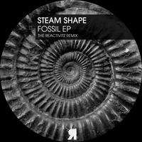 Fossil EP