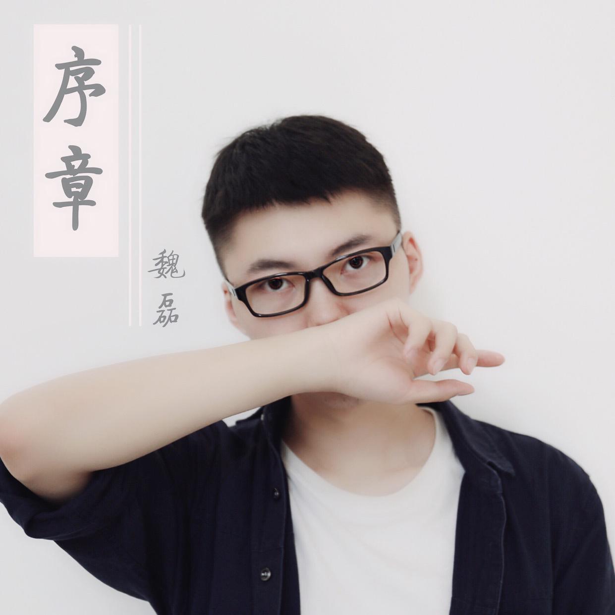 我要的自由 - 魏磊封面