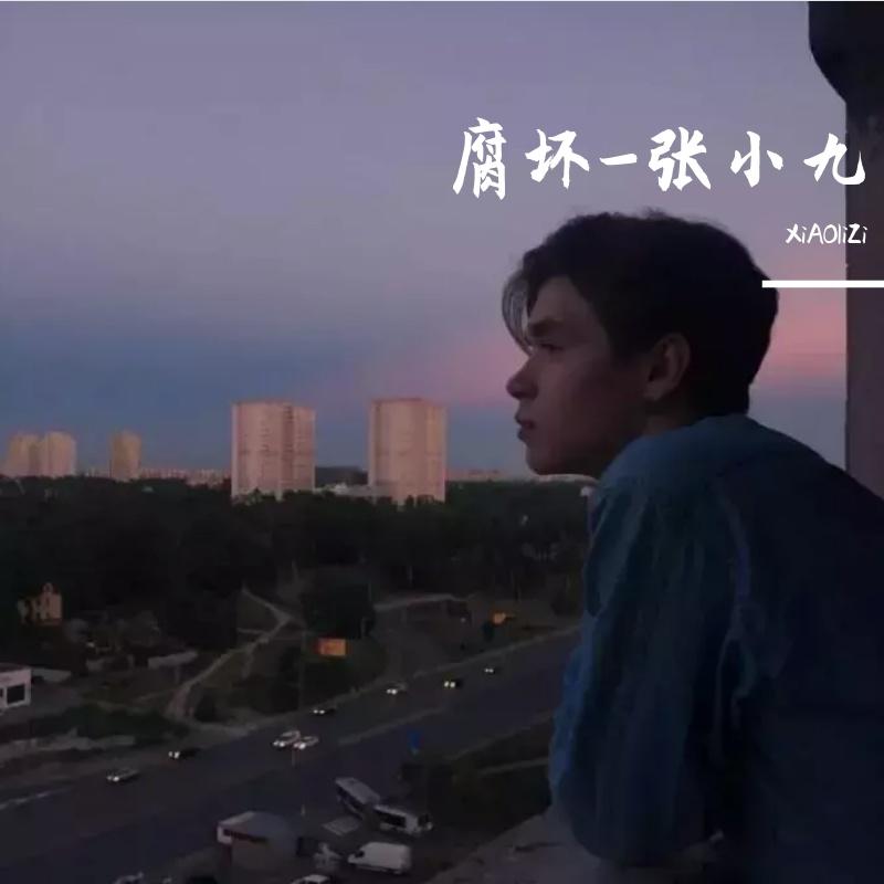 爱或不爱封面