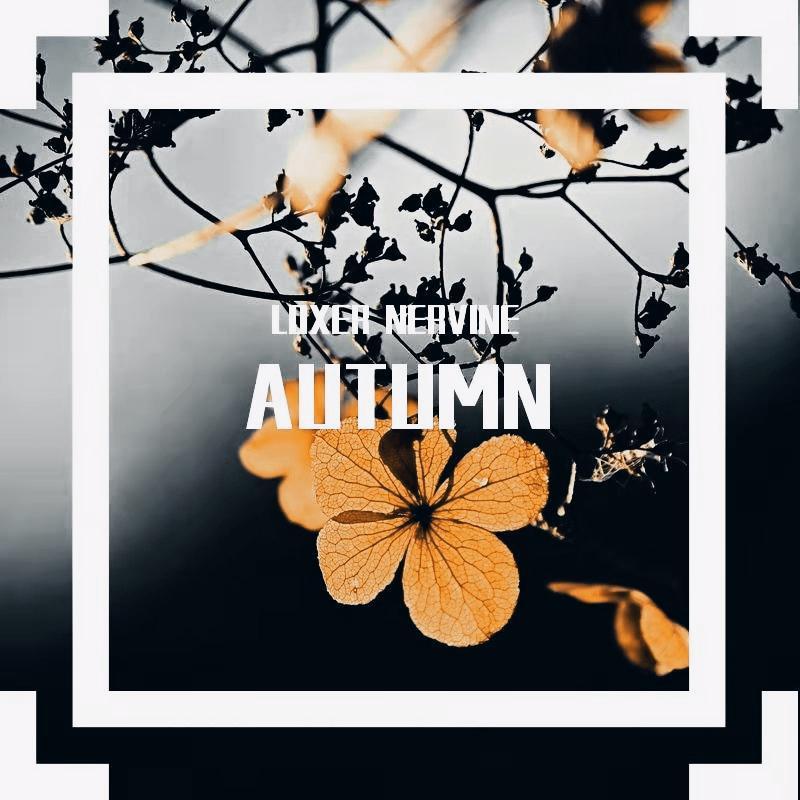 Loxer-AUTUMN（Hollis / Loxer remix）