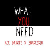 What You Need (feat. snakeskin)