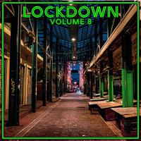 Lock Down Vol. 8