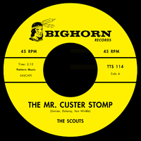 Mr Custer Stomp / Firewater