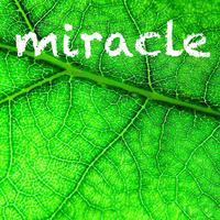 Miracle (feat. Chantal Kreviazuk)