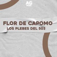 Flor De Capomo