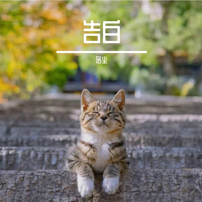 深情告白封面