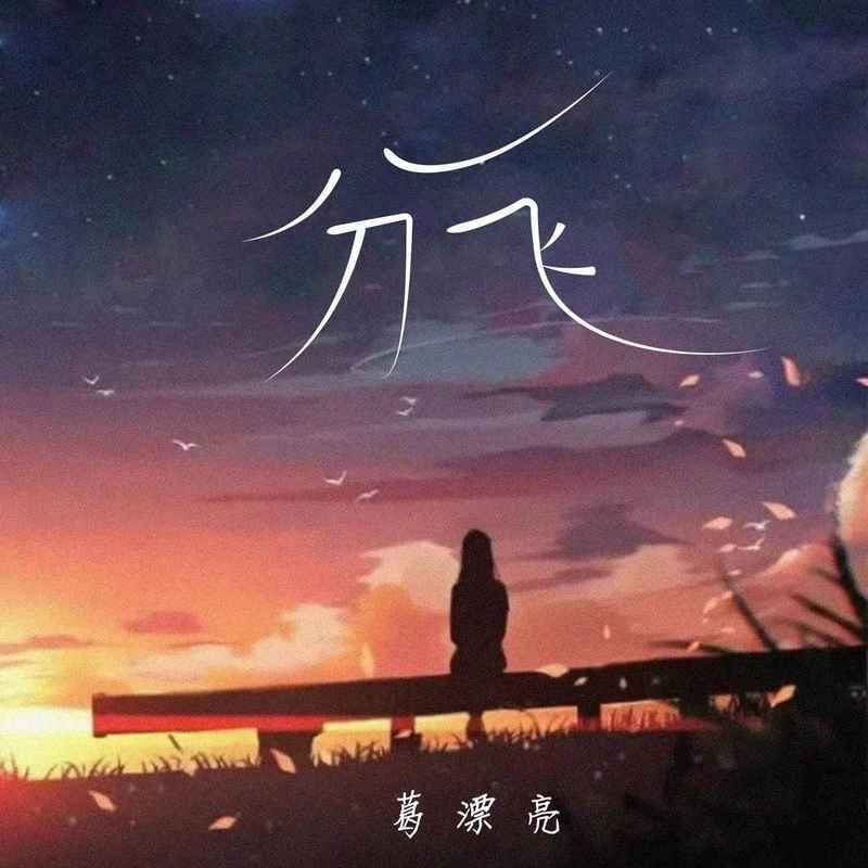 分飞 (葛漂亮版)封面