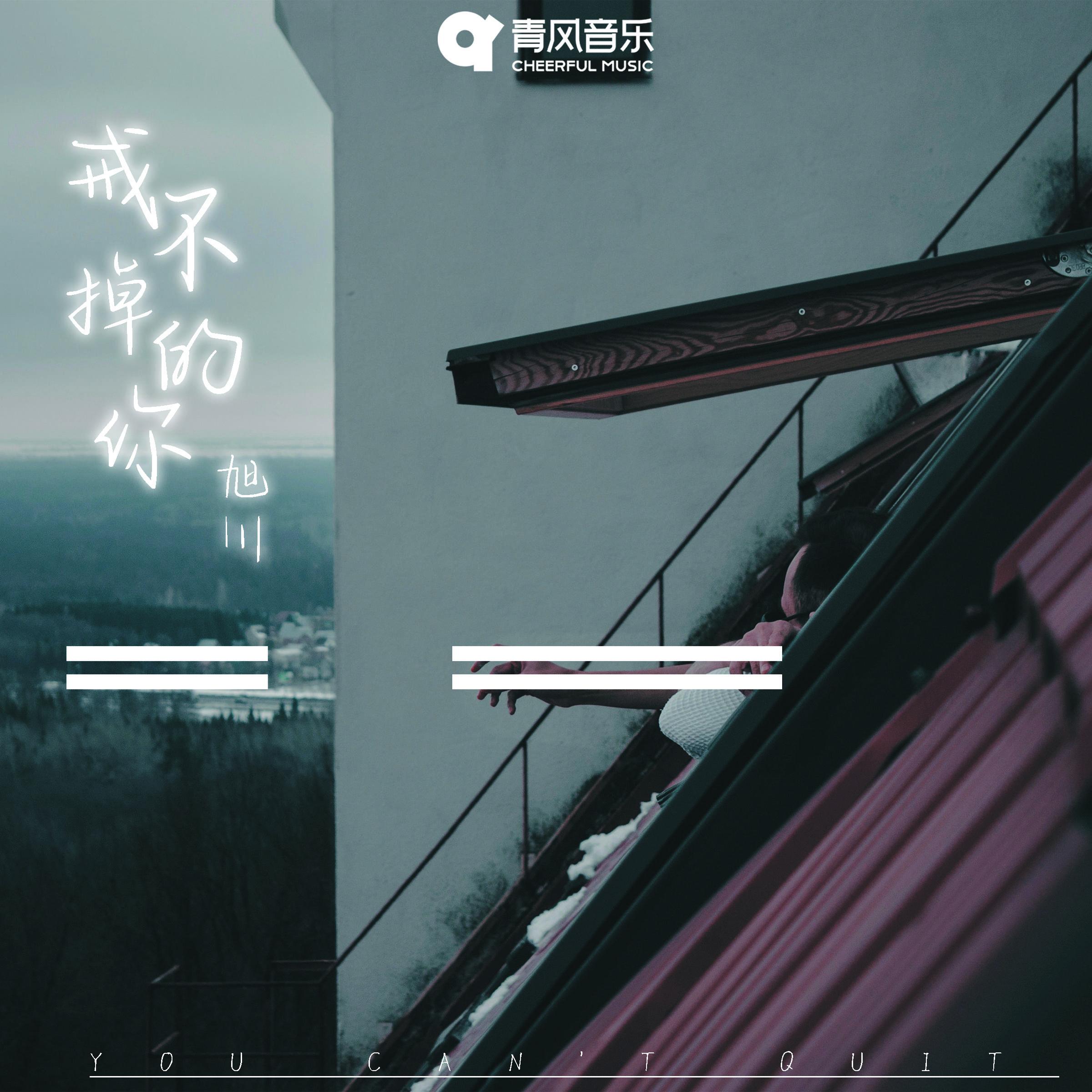 戒不掉的你封面