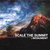 Scale The Summit - Penguins In Flight