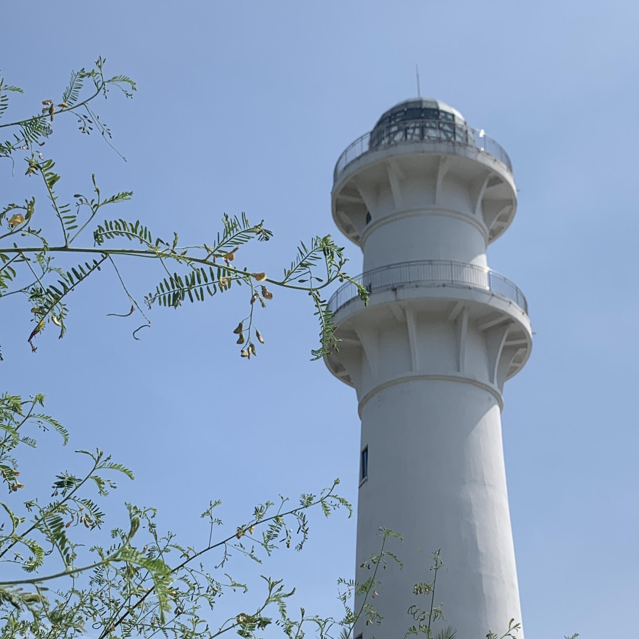 玫瑰的约定 - 卤卤封面