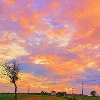 小撒